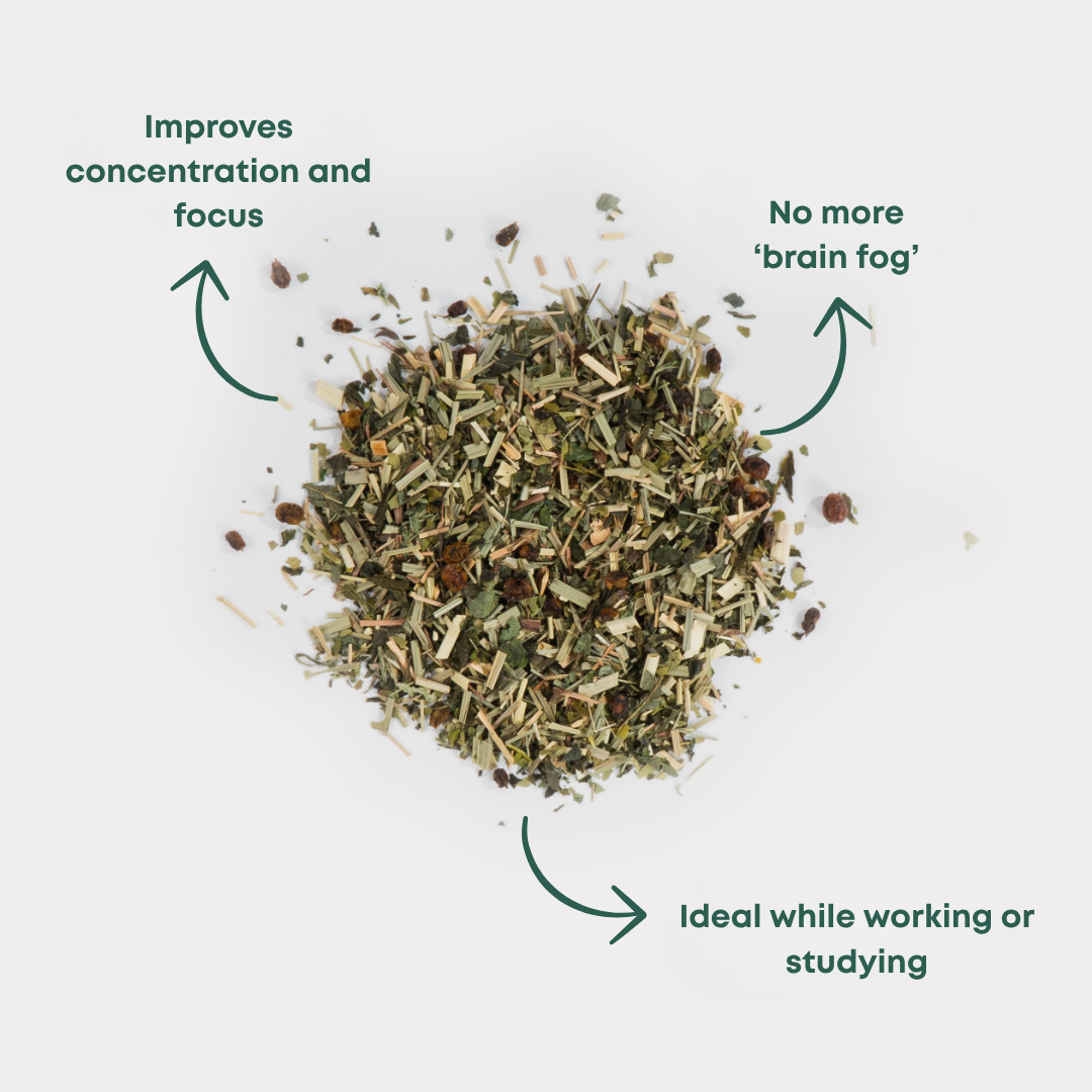 Focus - Green Tea with Lemongrass for Focus