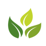 www.shop-sweetea.com favicon